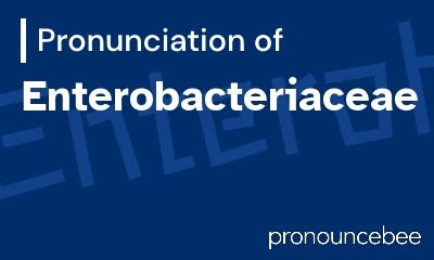enterobacteriales pronunciation.